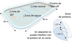 Equipación e infracciones Hockey sobre hielo